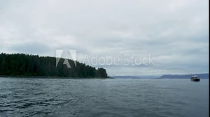 Whales in the Wild: Swimming Freely, Breathing with Elegance and Exhilaration. Unveiling the Wonders of Summer Whale Watching in Alaska.