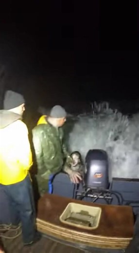 Underwater Horror: Encounters While Scuba Diving