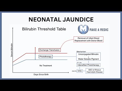 Neonatal Jaundice Explained