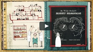BBC Science Club Animation all about the Brain