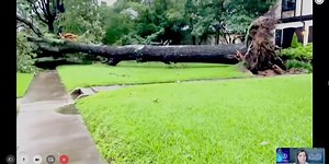 Tyler’s Azalea District suffers downed trees, power lines in wake of severe storms