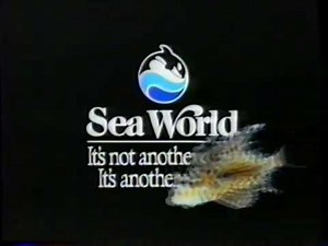 1989 Sea World TV Commercial Whales, Dolphins