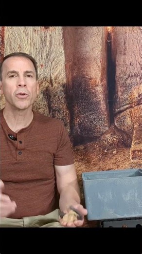 3 Crucified Heel Bone - Rare Archaeological Proof of Roman Crucifixion