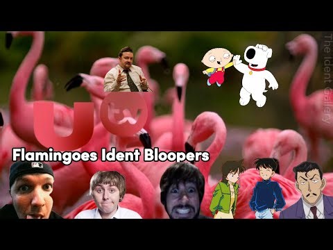 UTV Flamingoes Ident Bloopers