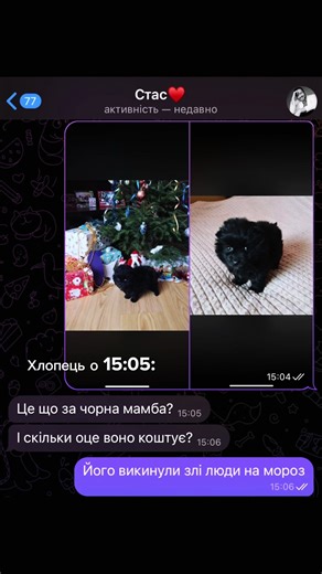 Наше передноворічне диво: Чарівні миті свят