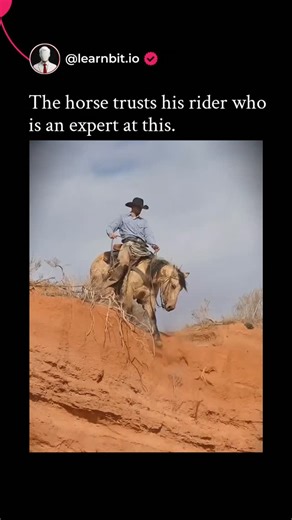 Learnbit.io on Instagram: "The post shares a video of a cowboy descending a steep, sandy red rock slope in Utah on a mustang horse, sliding controlled on its hindquarters while the rider maintains balance, showcasing exceptional equestrian skill. With over 970,000 views and 9,700 likes, reactions split between awe at the trust and expertise—evoking classic Western film stunts—and concerns from animal advocates about potential injury risks to the horse. Similar feats by mustang trainers like thos