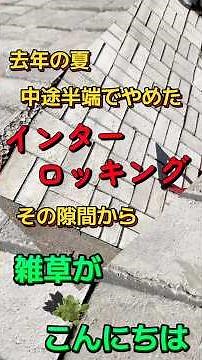 インターロッキングなのに『草むしり』⁉︎ 自業自得なのだ！！ #除草＃インターロッキング＃DIY
