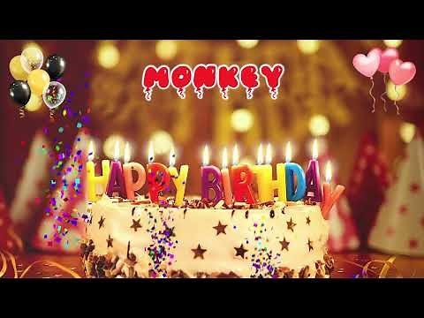 MONKEY Happy Birthday Song – Happy Birthday to You