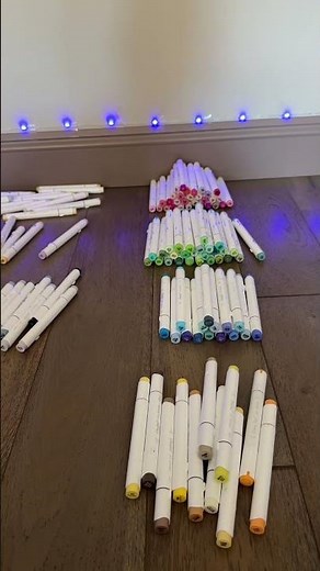 The Ultimate Guide to Organizing 216 Ohuhu Markers! 🌈✨ #ohuhumarkers #ohuhu #coloring #unboxing