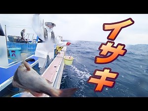 初春のイサキ釣り