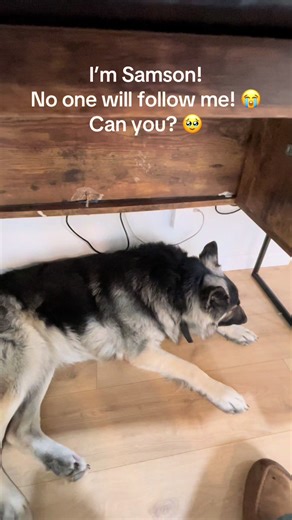 SAMSON (@philip.merrifield)’s videos with Feelings - Jurrivh