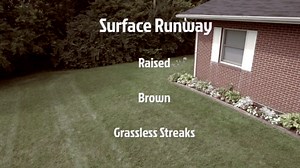 TOMCAT Mole Killerₐ, Mimics Natural Food Source, Poison Kills in a Single Feeding, 10 Worms 372310