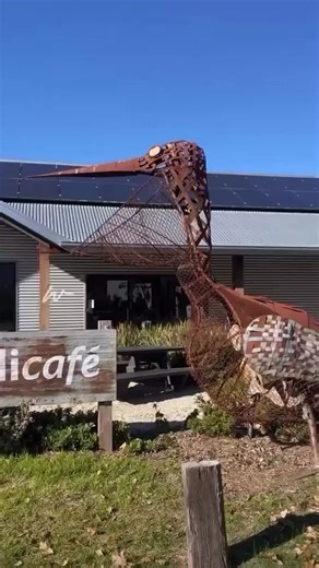 What’s Dindi? From natural home fragrances to gentle body and skincare, Dindi is small batch, ethical and designed to make your everyday feel calm, fresh and consciously beautiful. Bring nature into every corner of your home. #dindinaturals #plantbasedbeauty #handmade #madeinaustralia #naturalbeauty