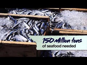 What do you see when you see seafood? | Kelvin Ng | TEDxSingapore