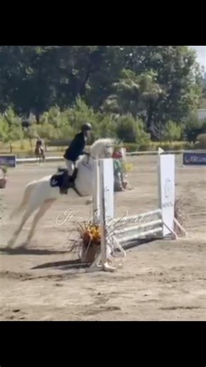 Holy distance 😵‍💫 || comp day 2