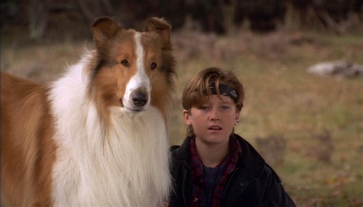 Lassie (1994) | VERN'S REVIEWS on the FILMS of CINEMA