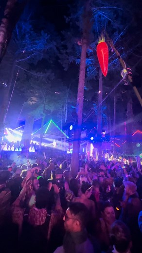 The Funk Hunters on Reels