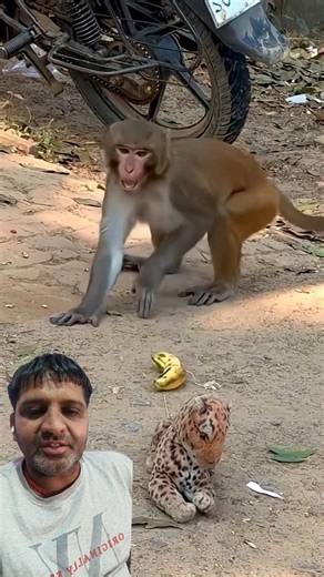 #TIMELAPSE: pp90 START to FINISH Alone BUILD LOG Cabin (Wooden House)How To Build Wooden Cabin Survi