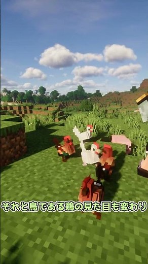 Bird-adding mod [Minecraft] Koishi's mod introduction part 320 #minecraft #game #shorts