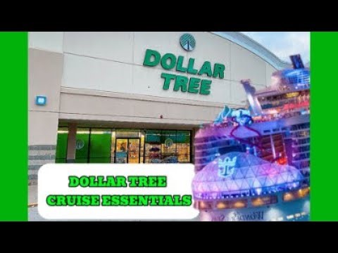 Dollar Tree Cruise Essentials You NEED