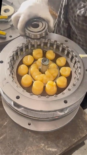 Cycloidal Pinwheel Reducer Assembly Process!