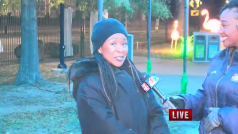 Little Rock Zoo bringing the Christmas spirit with Glo Wild