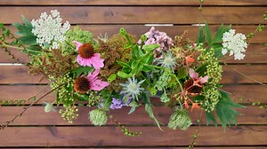 J Schwanke's Life In Bloom - Flower Foraging - Twin Cities PBS