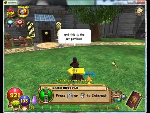 wizard101 how to get to the pet pavillion