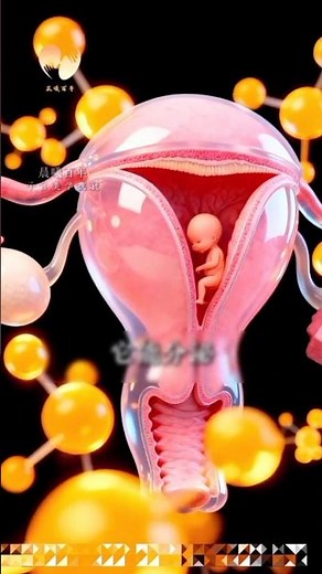 The True Center of Women’s Health — The Uterus