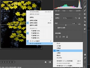Adobe Camera Raw Help Documentation