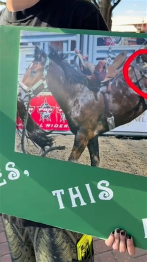 We had another powerful protest speaking up for the animals exploited, tortured, and abused at the rodeo. ANIMALS ARE NOT ENTERTAINMENT. They do not want to be there for anyone’s amusement. If they had a choice, they would live in peace—just like all of us. The energy today was incredible, with some people doing their first speak-outs and others joining their first protest. Thank you to everyone who continues to raise their voice for the animals. | SoFlo Animal Rights