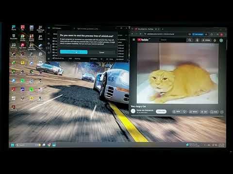 Very angry cat scream has bsod