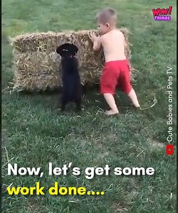 64K views · 28 reactions | Adorable Babies compilation With Dogs and Cats | Wow Animals | Facebook