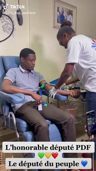 PDF le serviteur du peuple