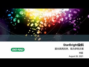 StarBright—全新流式超亮染料，助力多色方案