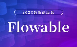 【前端】热门工作流Flowable高级篇视频教程