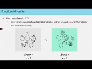 Camille Magneville (plotting functional diversity)
