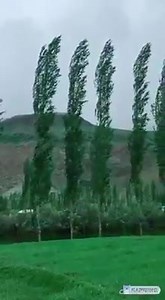 12K views · 752 reactions | Most beautifull place northern pakistan Share our pakistan beauty with every onw ❤ | Natural Beauty of Pakistan | Facebook