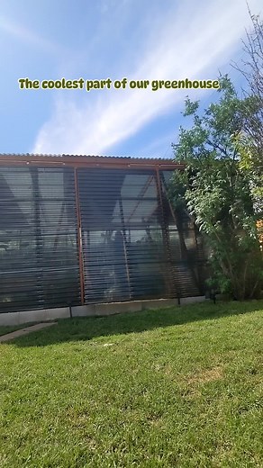 DIY Greenhouse Awning Door Inspired by Girl in the Woods