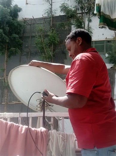 Tedy dish (@tedy.dish)’s videos with original sound - @musika
