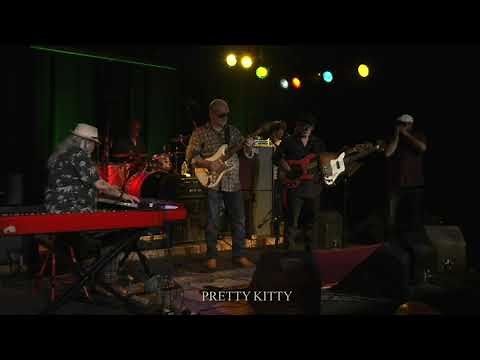 Pretty Kitty (Live)