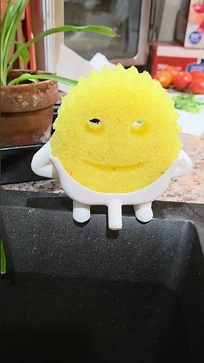 Sponge Daddy Holder #amolened