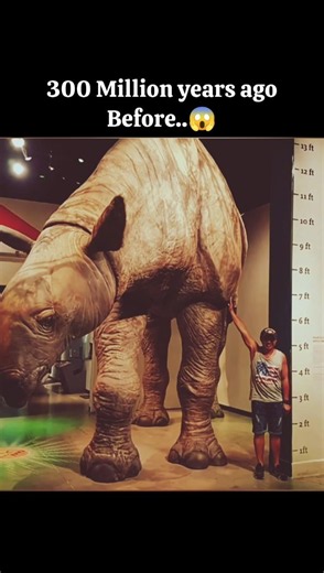 How Animals Looks before Humans 😱