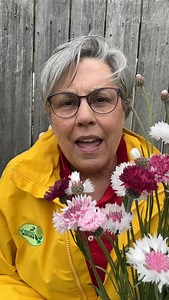 1.6K views · 900 reactions | One of the first flowers to bloom in my...