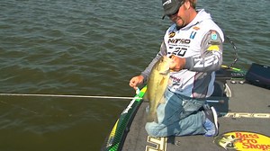 What makes the Azuma Z Boss crankbait one of the most successful crankbaits on the Tennessee River. #largemouthbass #smallmouthbass #postspawn #bassproshops #NitroBoost #powerpole #crankbaits #ledgefishing #summertimefishing Bass Pro Shops Nitro Boats Power-Pole Total Boat Control Profound Outdoors Motormate | Timmy Horton Outdoors