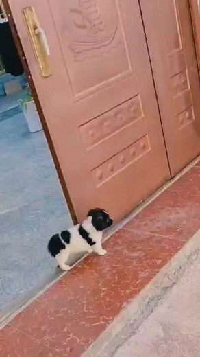 funnylife_1188 on TikTok