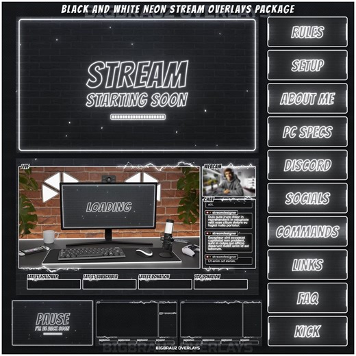 Animated Black and White NEON Stream OVERLAYS, Panels, Alerts, Webcam Frames, Screens - Etsy