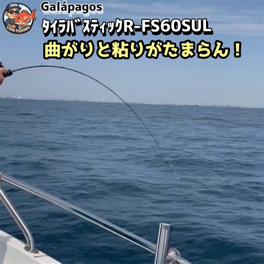 【タイラバ】やみつき神ロッド！ #タイラバ #東京湾タイラバ
