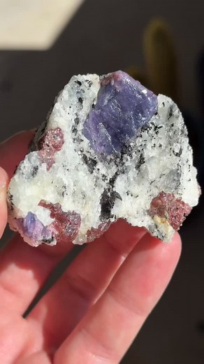 Purplish blue sapphire on matrix with pyrope garnet crystals from Zazafotsy Quarry, Madagascar Great combo Available | Patrick Arkfeld