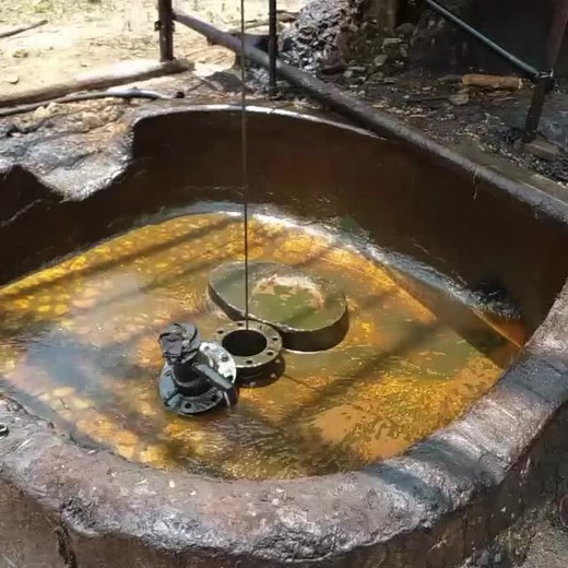 Industrial Oil Extraction Process Explained